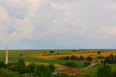 Tekirdağ yolunda mahsul tarlaları. / Türkiye.