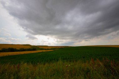 Tekirdağ yolunda mahsul tarlaları. / Türkiye.