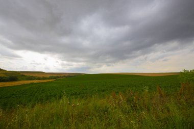Tekirdağ yolunda mahsul tarlaları. / Türkiye.