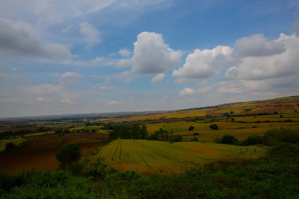 Champs Cultivés Sur Route Tekirdag — Photo