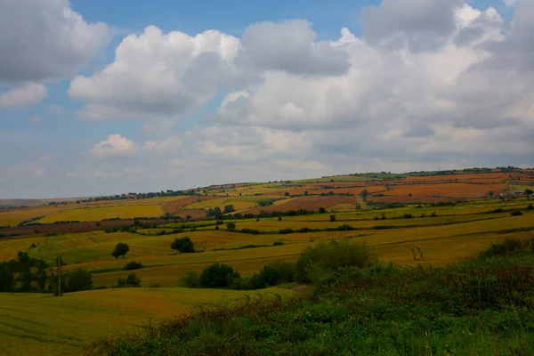 Tekirdağ Yolunda Tarlalar — Stok fotoğraf