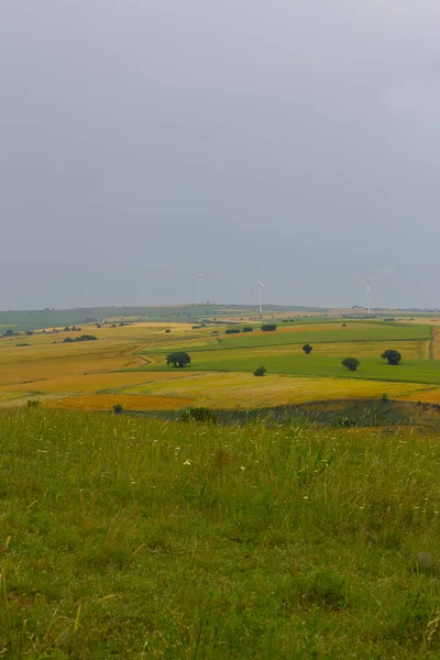 Campos Cultivo Tekirdag Carretera — Foto de Stock