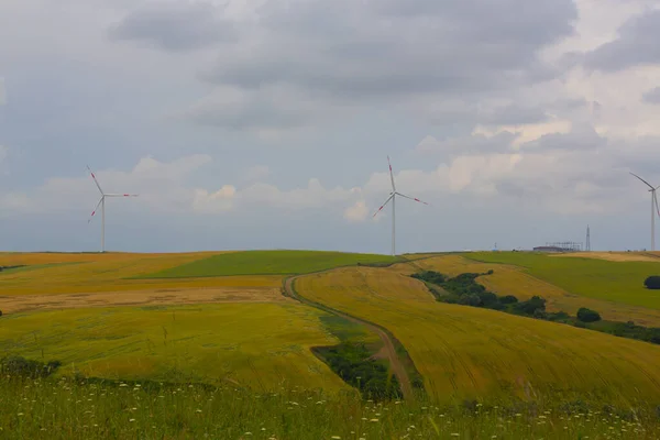 Crop Fields Tekirdag Road — Stock Photo, Image