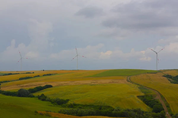 Crop Fields Tekirdag Road — Stock Photo, Image