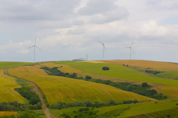 Crop Fields Tekirdag Road — Stock Photo, Image