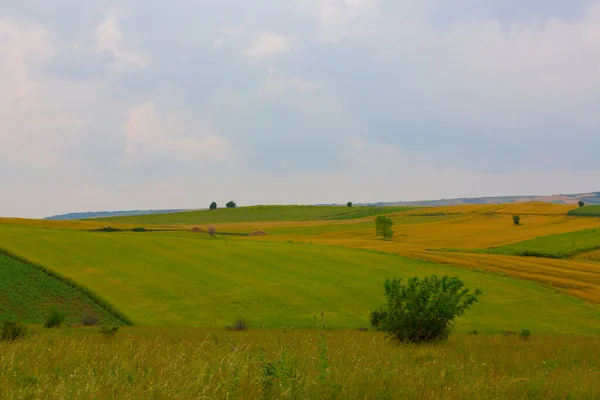 Campos Cultivo Tekirdag Carretera — Foto de Stock