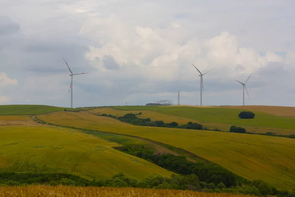 Crop Fields Tekirdag Road — Stock Photo, Image