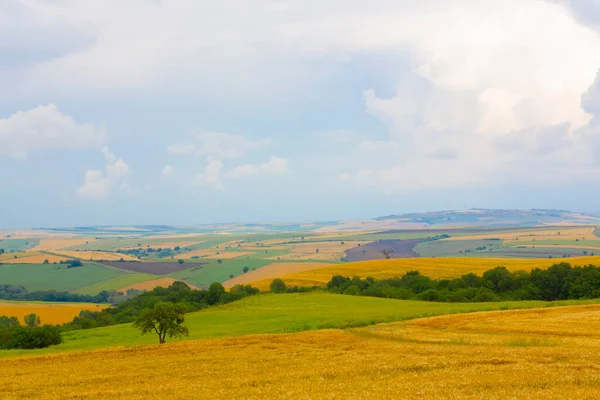 Campos Cultivo Carretera Tekirdag Turquía — Foto de Stock