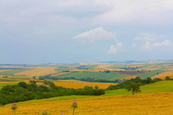 Campos Cultivo Carretera Tekirdag Turquía — Foto de Stock