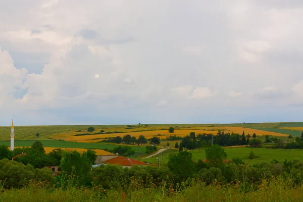 Tekirdağ Yolunda Mahsul Tarlaları Türkiye — Stok fotoğraf