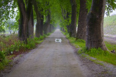 Bursa / Lipli Köyünün oksijen koridoru