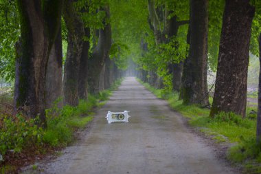 Bursa / Lipli Köyünün oksijen koridoru