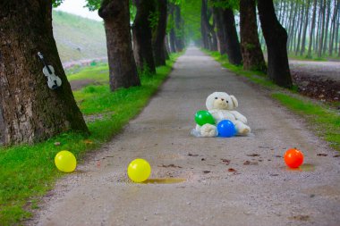 Bursa / Lipli Köyünün oksijen koridoru