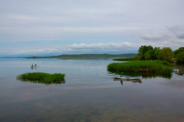 Balıkçı koi / balıkçı bursu / Türkiye.