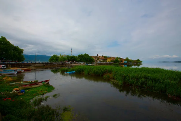 Fiskekoi Fiskarstipendium Turkiet — Stockfoto