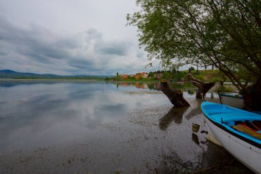 Balıkçı koi / balıkçı bursu / Türkiye.
