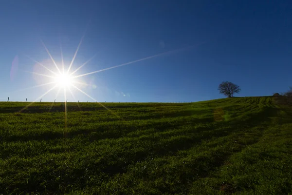 Akakese Ist Ein Küstenviertel Istanbuler Stadtteil Iile Das Dorf Ist — Stockfoto