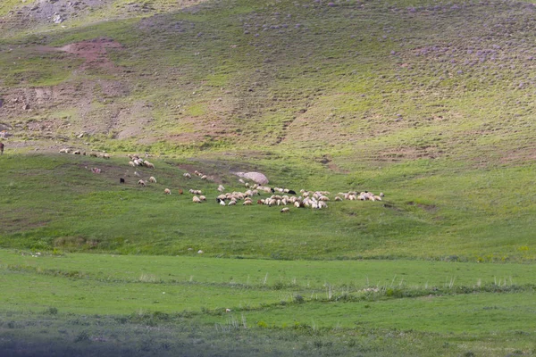 Suphan Dağı Doğu Anadolu Bölgesi Nde Van Gölü Nün Kuzeyinde — Stok fotoğraf