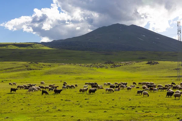 Suphan Dağı, Doğu Anadolu Bölgesi 'nde Van Gölü' nün kuzeyinde yer alan bir stratovolcano. Van / Türkiye.