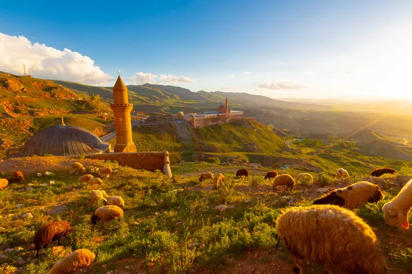 Shak Pasha Palace Lub Shak Pasha Complex Jest Zamek Bey — Zdjęcie stockowe