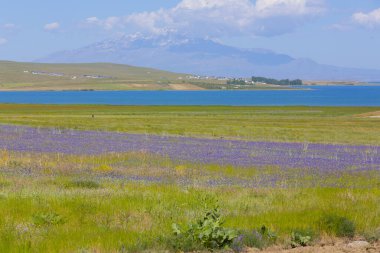Suphan dağı ve Van Gölü.