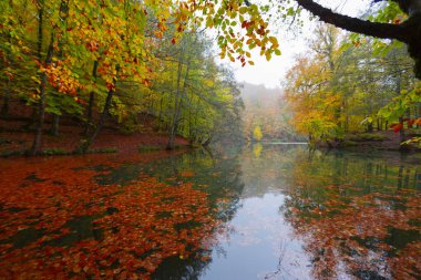Yedigller Milli Parkı Bolu 'nun kuzeyinde, Zonguldak' ın güneyinde, Dzce 'nin güneyinde, Dzce' nin doğusunda yer almaktadır..