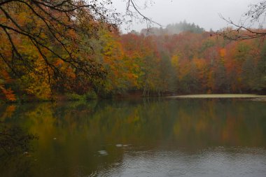Yedigller Milli Parkı Bolu 'nun kuzeyinde, Zonguldak' ın güneyinde, Dzce 'nin güneyinde, Dzce' nin doğusunda yer almaktadır..