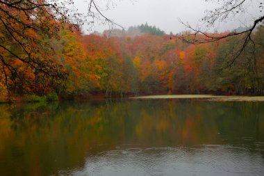 Yedigller Milli Parkı Bolu 'nun kuzeyinde, Zonguldak' ın güneyinde, Dzce 'nin güneyinde, Dzce' nin doğusunda yer almaktadır..