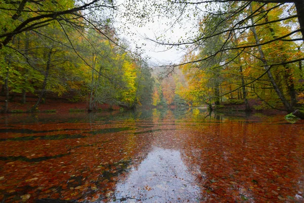 Der Yedigller Nationalpark Liegt Der Schwarzmeerregion Norden Von Bolu Süden — Stockfoto