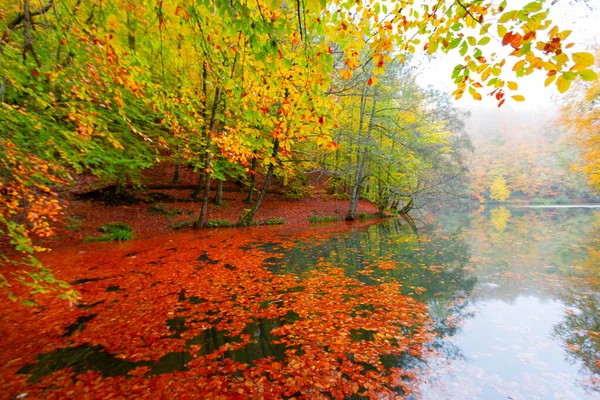 Park Narodowy Yedigller Znajduje Się Regionie Morza Czarnego Północy Bolu — Zdjęcie stockowe