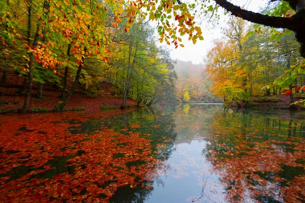 Parc National Yedigller Est Situé Dans Région Mer Noire Nord — Photo