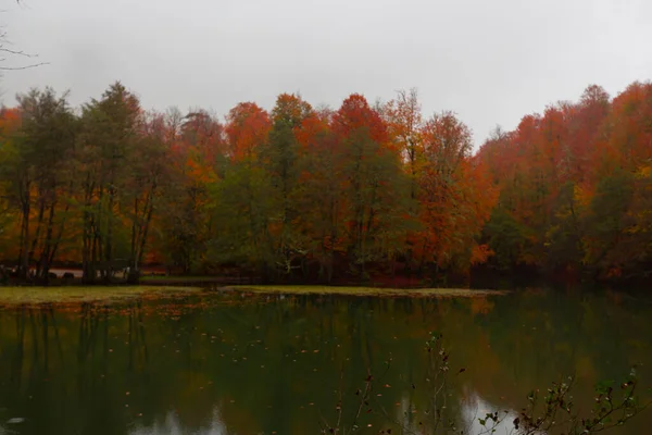 Parc National Yedigller Est Situé Dans Région Mer Noire Nord — Photo