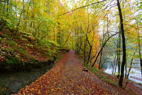 Park Narodowy Yedigller Znajduje Się Regionie Morza Czarnego Północy Bolu — Zdjęcie stockowe