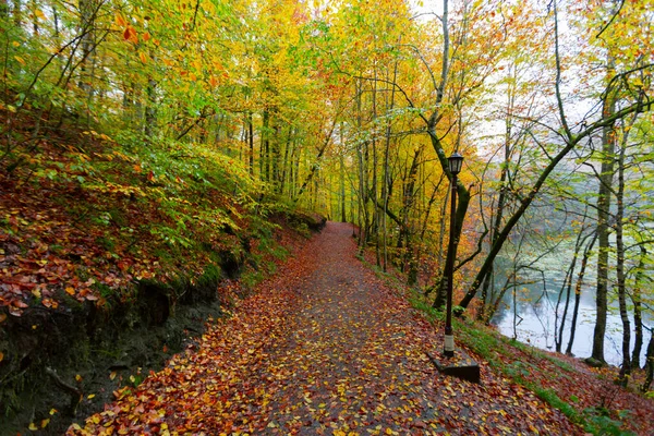 Yedigller National Park Está Localizado Região Mar Negro Norte Bolu — Fotografia de Stock