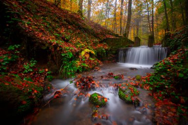 Yedigller Milli Parkı Bolu 'nun kuzeyinde, Zonguldak' ın güneyinde, Dzce 'nin güneyinde, Dzce' nin doğusunda yer almaktadır..