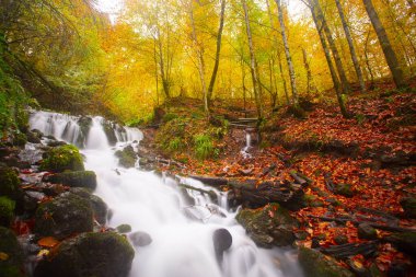 Yedigller Milli Parkı Bolu 'nun kuzeyinde, Zonguldak' ın güneyinde, Dzce 'nin güneyinde, Dzce' nin doğusunda yer almaktadır..