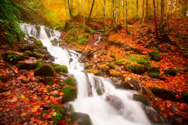 Yedigller Milli Parkı Bolu 'nun kuzeyinde, Zonguldak' ın güneyinde, Dzce 'nin güneyinde, Dzce' nin doğusunda yer almaktadır..
