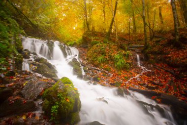 Yedigller Milli Parkı Bolu 'nun kuzeyinde, Zonguldak' ın güneyinde, Dzce 'nin güneyinde, Dzce' nin doğusunda yer almaktadır..