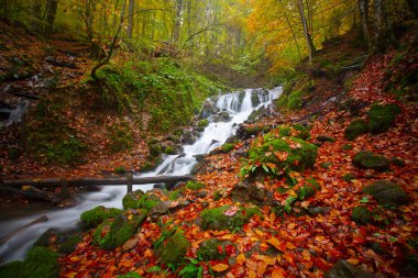 Yedigller Milli Parkı Bolu 'nun kuzeyinde, Zonguldak' ın güneyinde, Dzce 'nin güneyinde, Dzce' nin doğusunda yer almaktadır..