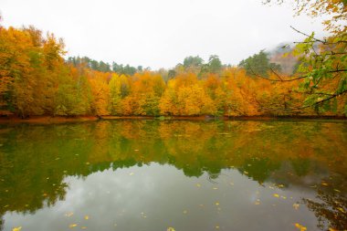 Yedigller Milli Parkı Bolu 'nun kuzeyinde, Zonguldak' ın güneyinde, Dzce 'nin güneyinde, Dzce' nin doğusunda yer almaktadır..