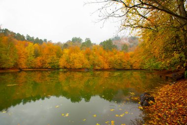 Yedigller Milli Parkı Bolu 'nun kuzeyinde, Zonguldak' ın güneyinde, Dzce 'nin güneyinde, Dzce' nin doğusunda yer almaktadır..