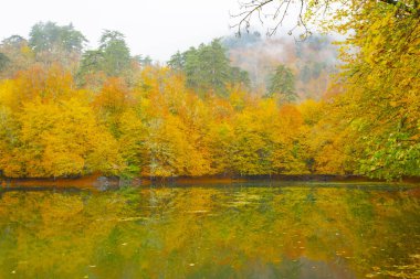 Yedigller Milli Parkı Bolu 'nun kuzeyinde, Zonguldak' ın güneyinde, Dzce 'nin güneyinde, Dzce' nin doğusunda yer almaktadır..