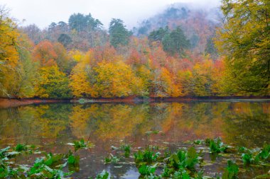 Yedigller Milli Parkı Bolu 'nun kuzeyinde, Zonguldak' ın güneyinde, Dzce 'nin güneyinde, Dzce' nin doğusunda yer almaktadır..