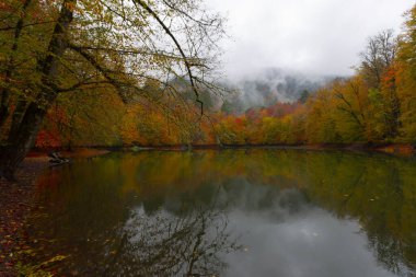Yedigller Milli Parkı Bolu 'nun kuzeyinde, Zonguldak' ın güneyinde, Dzce 'nin güneyinde, Dzce' nin doğusunda yer almaktadır..