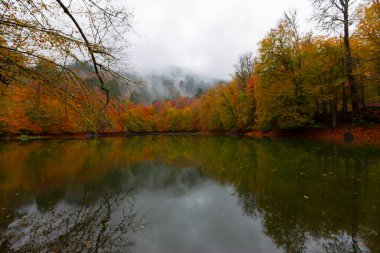 Yedigller Milli Parkı Bolu 'nun kuzeyinde, Zonguldak' ın güneyinde, Dzce 'nin güneyinde, Dzce' nin doğusunda yer almaktadır..