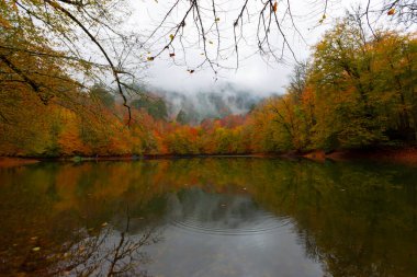 Yedigller Milli Parkı Bolu 'nun kuzeyinde, Zonguldak' ın güneyinde, Dzce 'nin güneyinde, Dzce' nin doğusunda yer almaktadır..