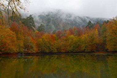 Yedigller Milli Parkı Bolu 'nun kuzeyinde, Zonguldak' ın güneyinde, Dzce 'nin güneyinde, Dzce' nin doğusunda yer almaktadır..