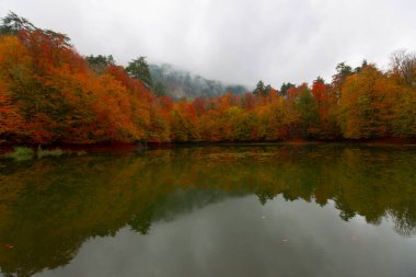 Yedigller Milli Parkı Bolu 'nun kuzeyinde, Zonguldak' ın güneyinde, Dzce 'nin güneyinde, Dzce' nin doğusunda yer almaktadır..