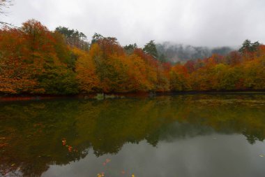 Yedigller Milli Parkı Bolu 'nun kuzeyinde, Zonguldak' ın güneyinde, Dzce 'nin güneyinde, Dzce' nin doğusunda yer almaktadır..