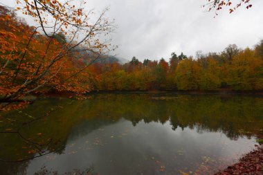 Yedigller Milli Parkı Bolu 'nun kuzeyinde, Zonguldak' ın güneyinde, Dzce 'nin güneyinde, Dzce' nin doğusunda yer almaktadır..
